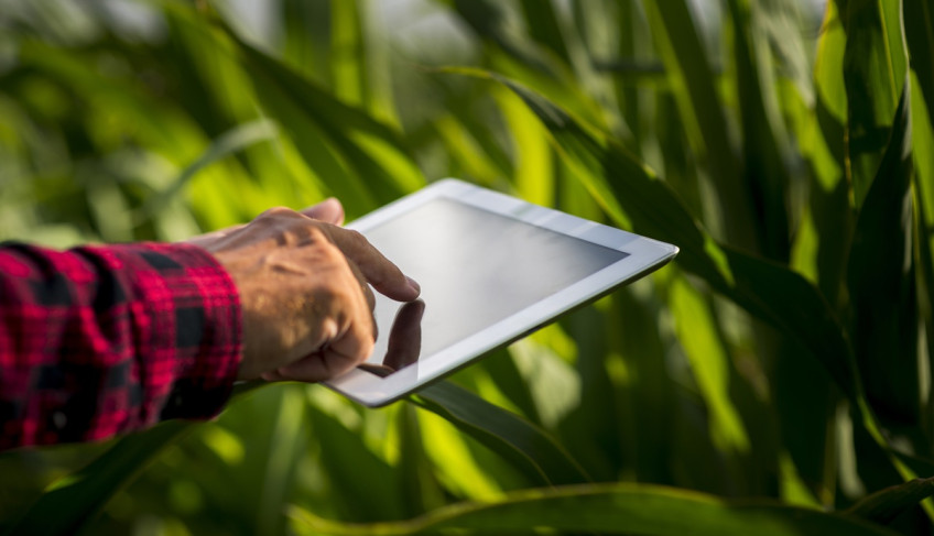 ASN São Paulo - Agência Sebrae de Notícias