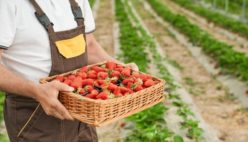 ASN São Paulo - Agência Sebrae de Notícias