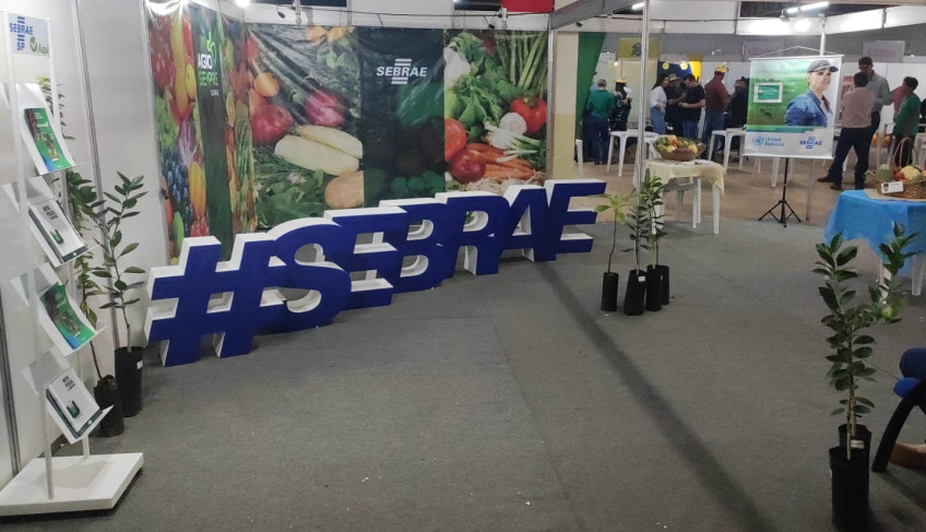 ASN São Paulo - Agência Sebrae de Notícias