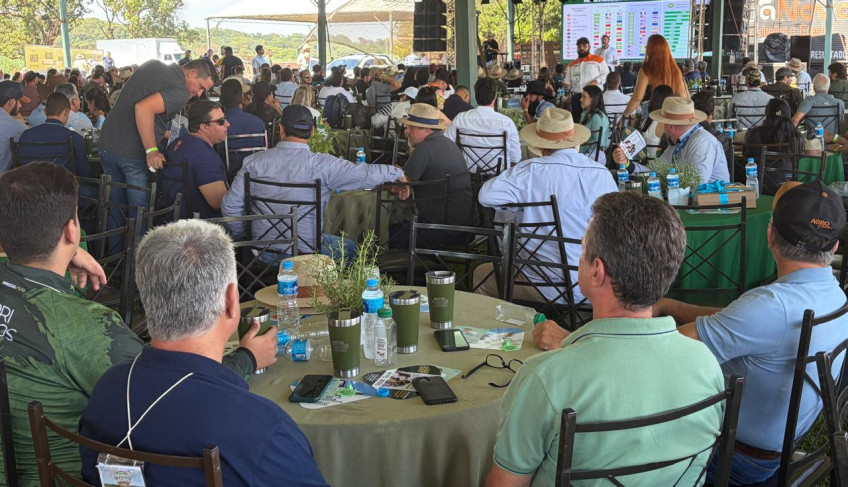 ASN São Paulo - Agência Sebrae de Notícias