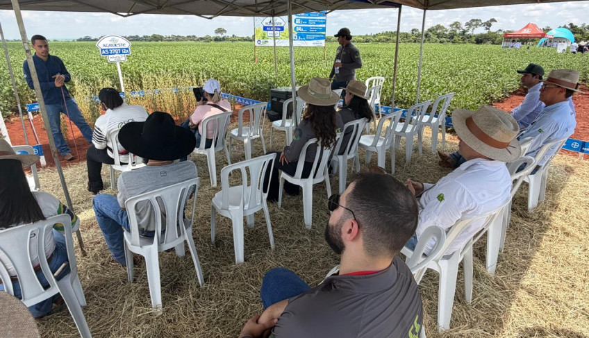 ASN São Paulo - Agência Sebrae de Notícias