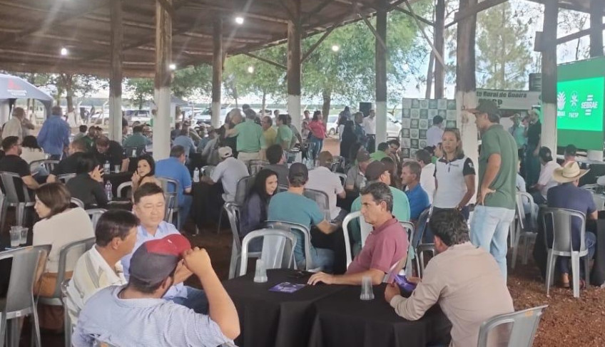 ASN São Paulo - Agência Sebrae de Notícias