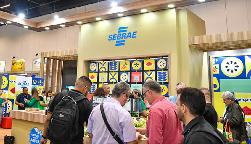 ASN São Paulo - Agência Sebrae de Notícias