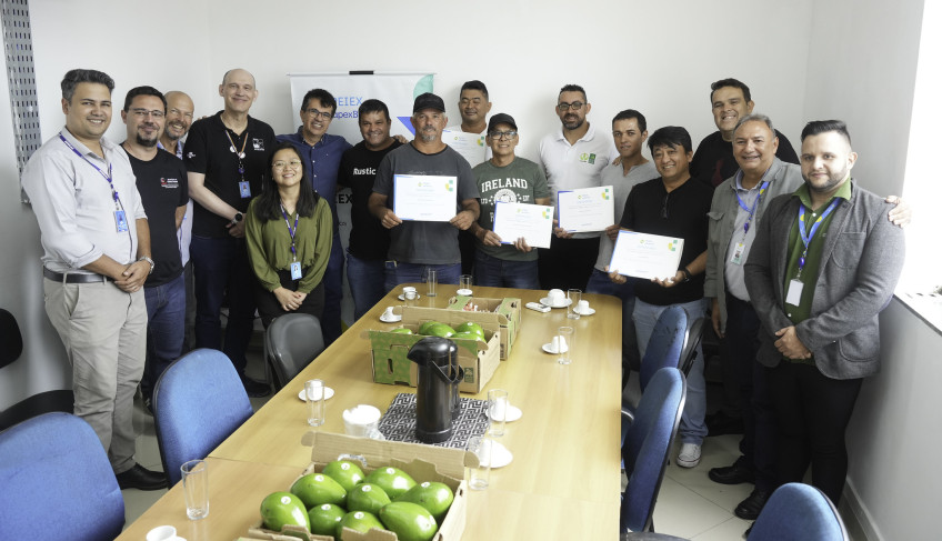 ASN São Paulo - Agência Sebrae de Notícias