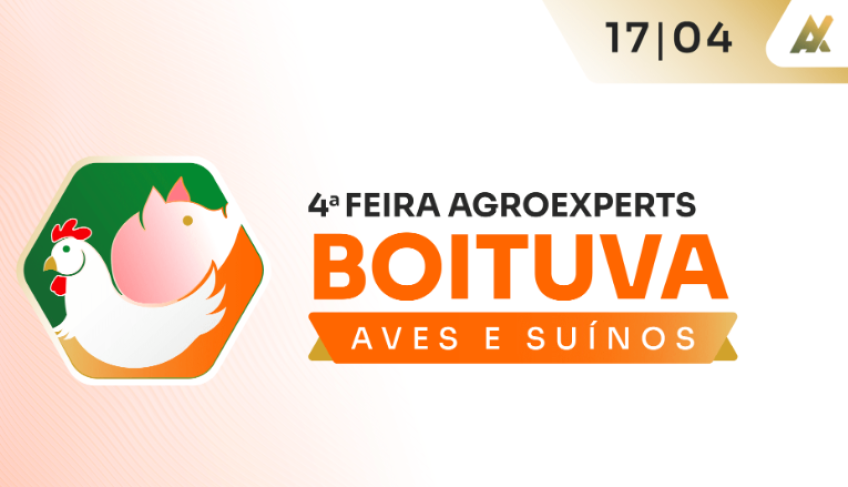 ASN São Paulo - Agência Sebrae de Notícias