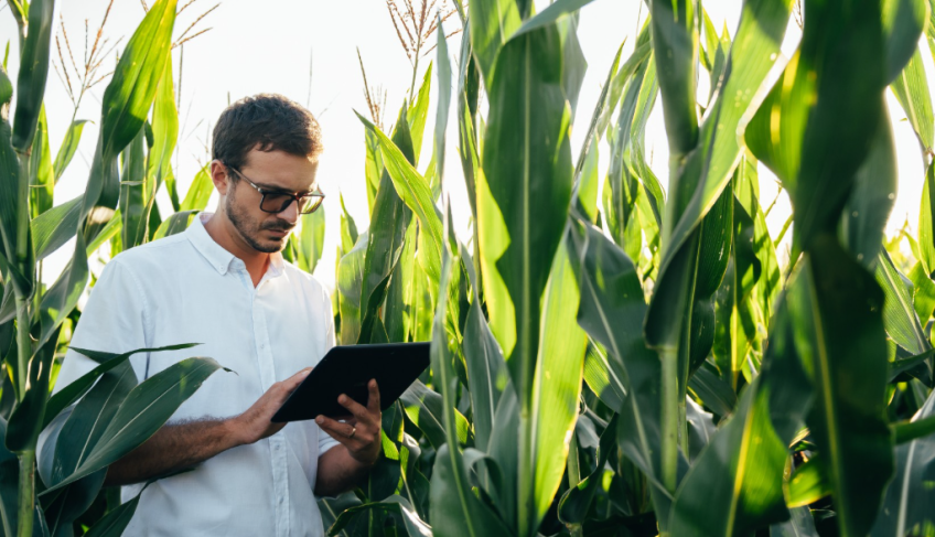 ASN São Paulo - Agência Sebrae de Notícias