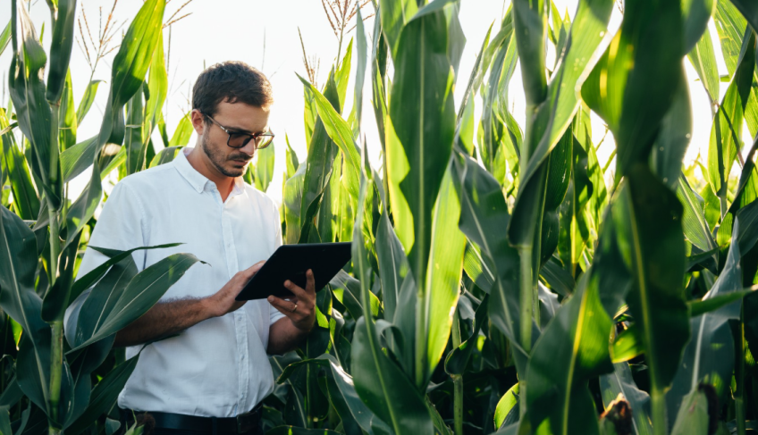 ASN São Paulo - Agência Sebrae de Notícias