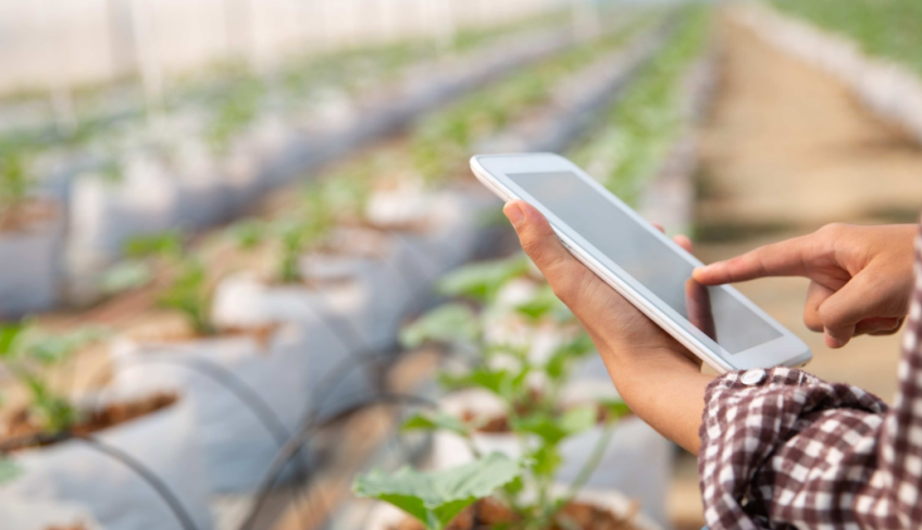 ASN São Paulo - Agência Sebrae de Notícias