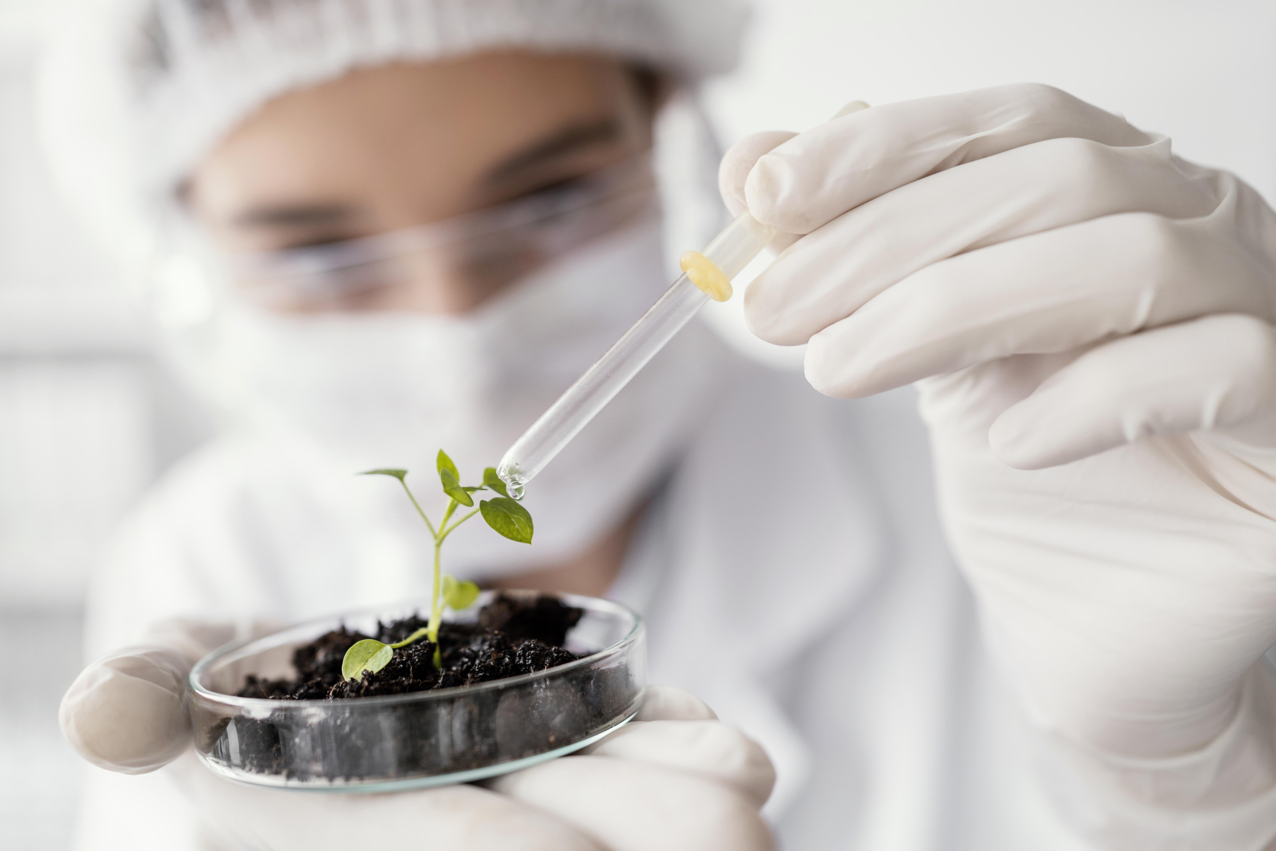 startup bio biotecnologia