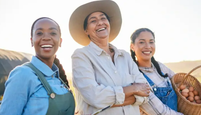 ASN São Paulo - Agência Sebrae de Notícias