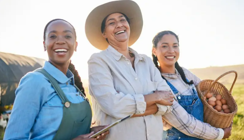 ASN São Paulo - Agência Sebrae de Notícias
