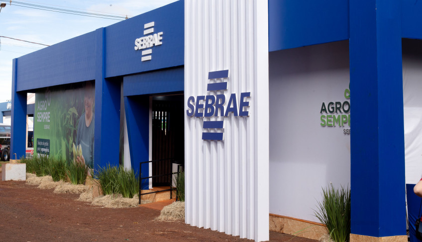 ASN São Paulo - Agência Sebrae de Notícias