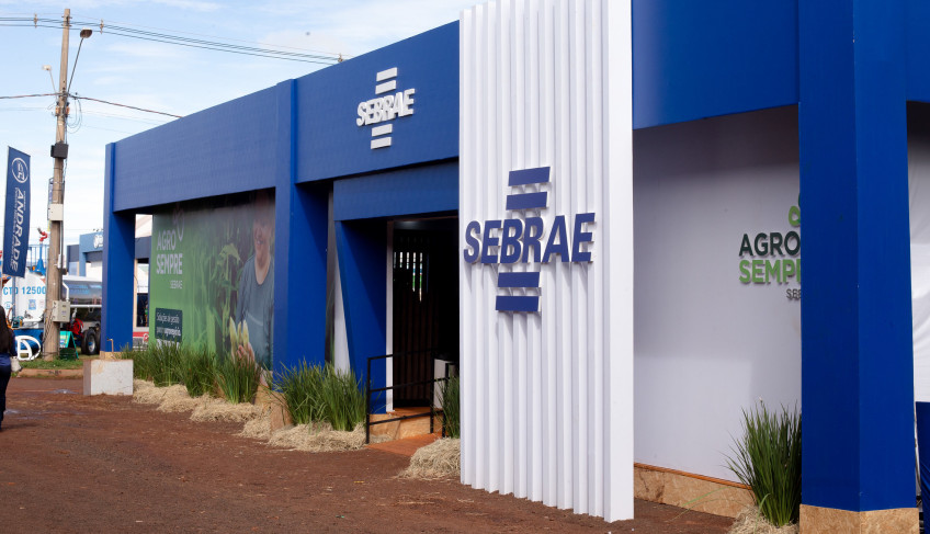 ASN São Paulo - Agência Sebrae de Notícias