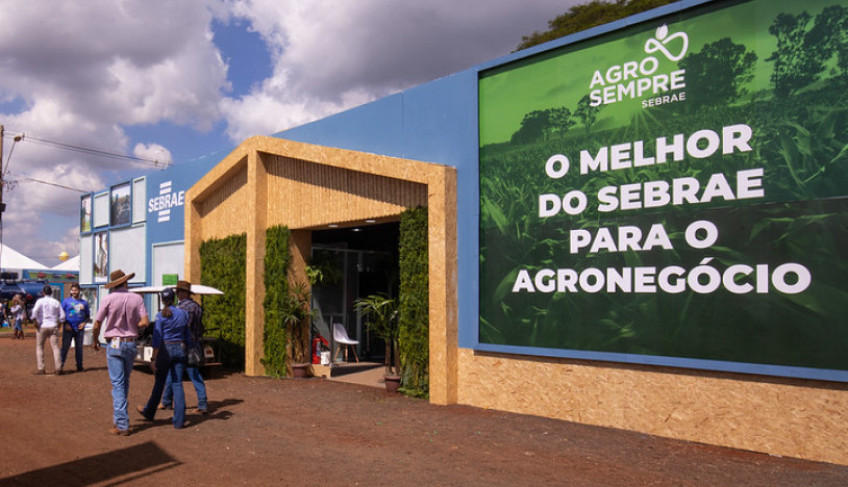 ASN São Paulo - Agência Sebrae de Notícias