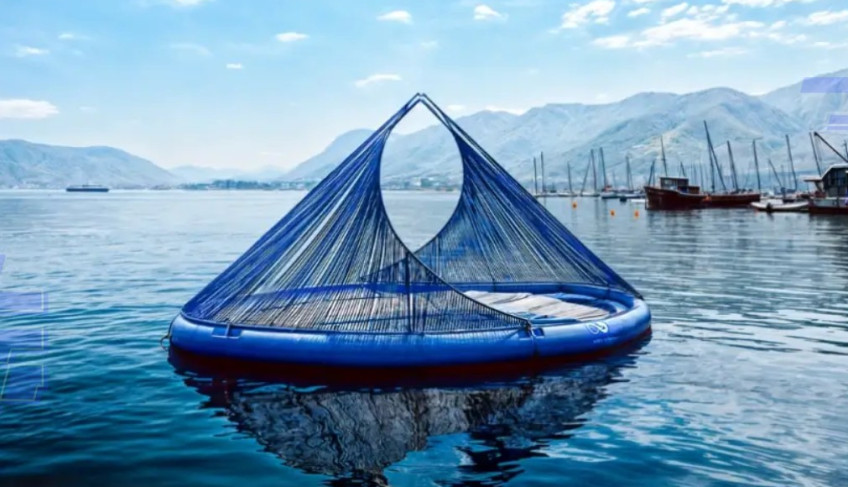 ASN São Paulo - Agência Sebrae de Notícias