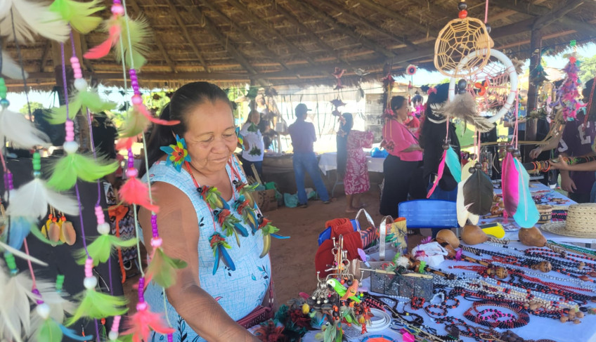 ASN São Paulo - Agência Sebrae de Notícias
