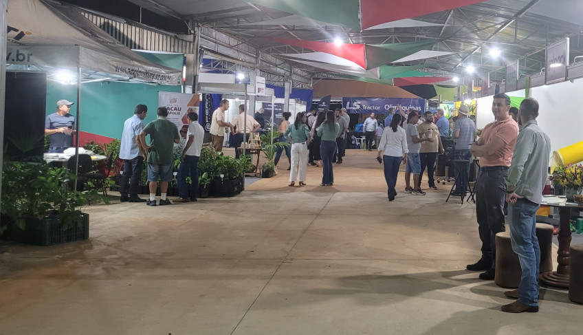 ASN São Paulo - Agência Sebrae de Notícias