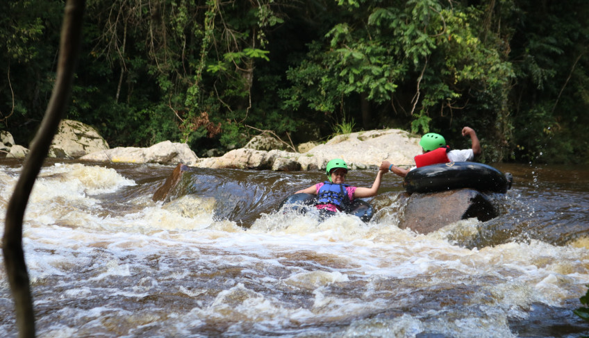 ASN São Paulo - Agência Sebrae de Notícias