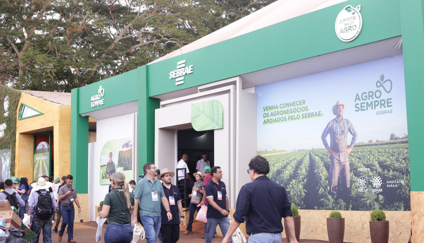 ASN São Paulo - Agência Sebrae de Notícias
