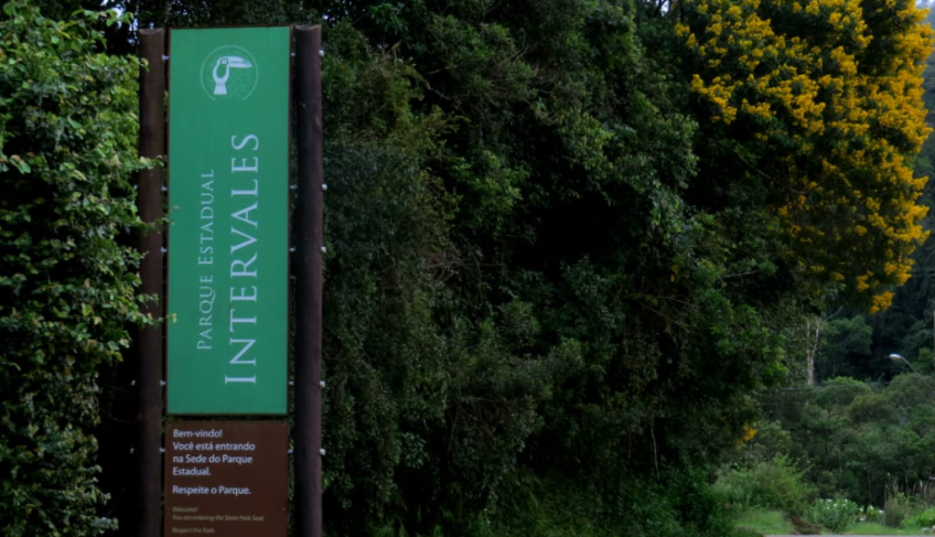 ASN São Paulo - Agência Sebrae de Notícias