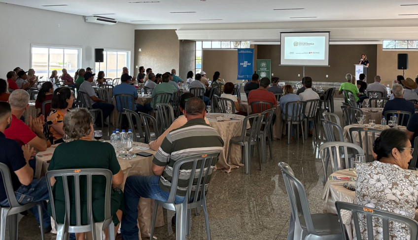 ASN São Paulo - Agência Sebrae de Notícias