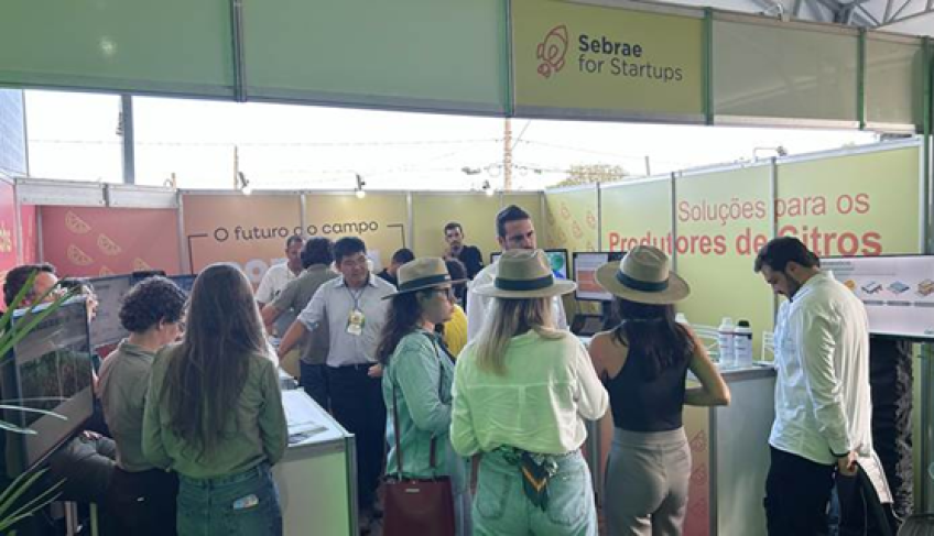 ASN São Paulo - Agência Sebrae de Notícias
