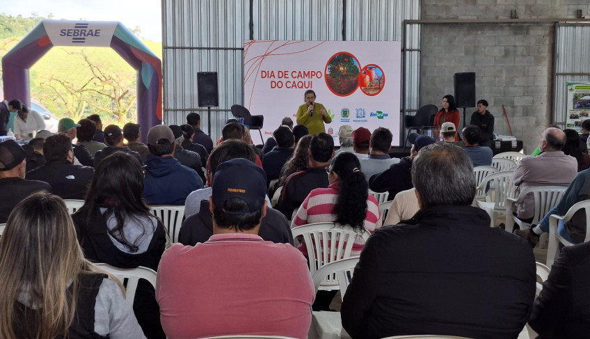 ASN São Paulo - Agência Sebrae de Notícias