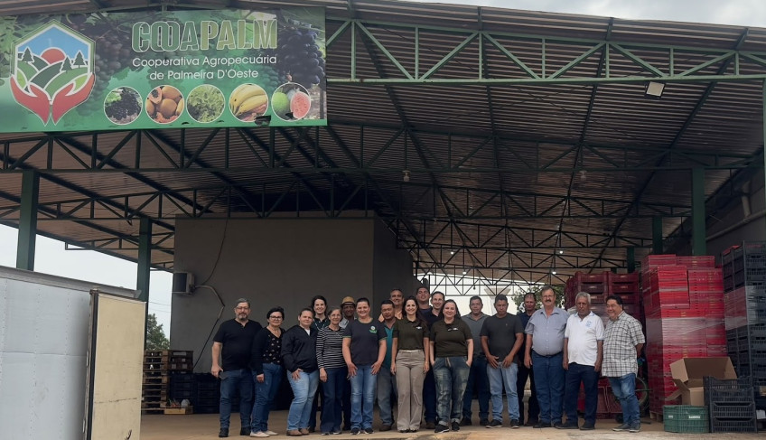 ASN São Paulo - Agência Sebrae de Notícias