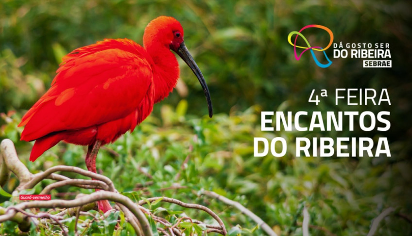 ASN São Paulo - Agência Sebrae de Notícias