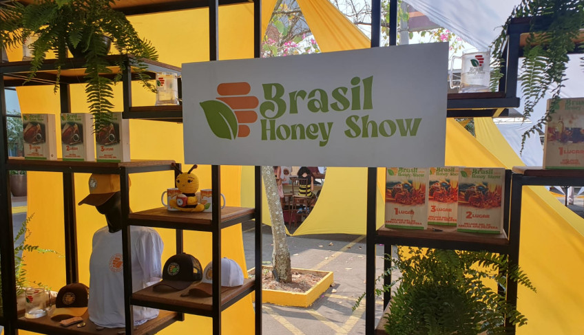 ASN São Paulo - Agência Sebrae de Notícias