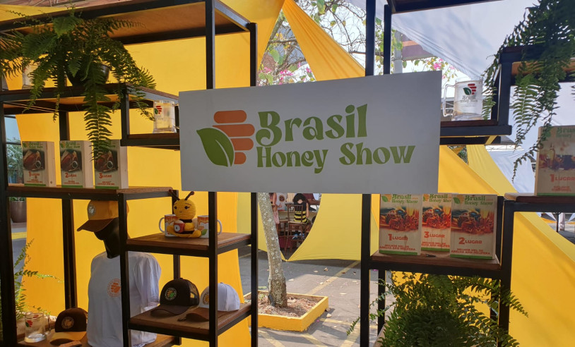 ASN São Paulo - Agência Sebrae de Notícias