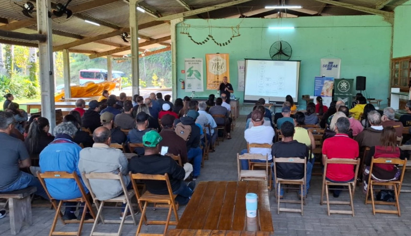 ASN São Paulo - Agência Sebrae de Notícias