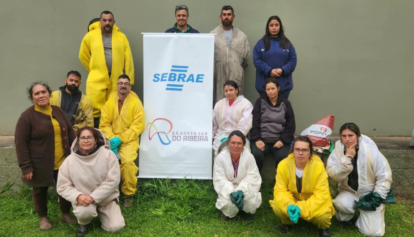 ASN São Paulo - Agência Sebrae de Notícias
